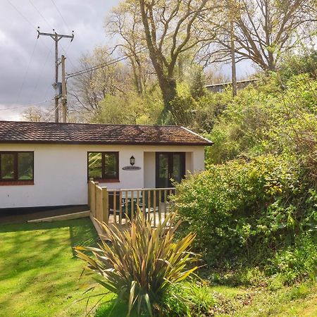 Larchwood Lodge Ilfracombe Exterior foto